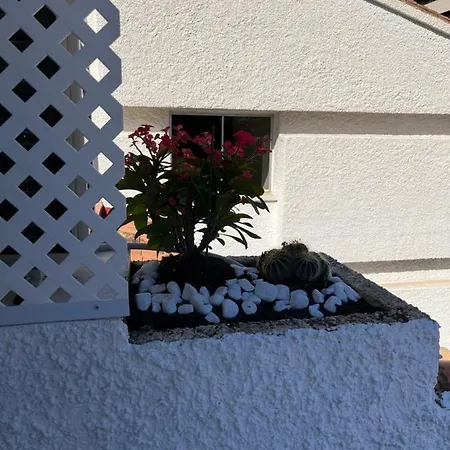 Lägenhet Jardines Del Mar,penthouse Elisabeth *