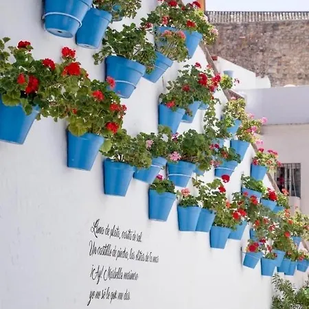 Jardines Del Mar,penthouse Elisabeth Appartamento